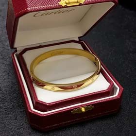 Cartier neue Mode Armbänder (14 Stile) - 2044  