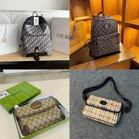 Dior/Louis Vuitton/Gucci Tasche (23 Stile)-0741
