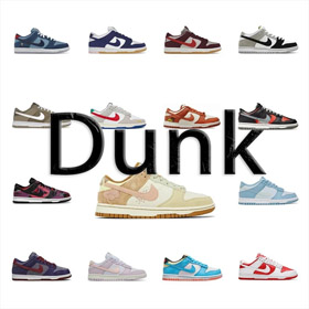 Nike Dunk Bright Side Wildleder Street Style Low-Top Sneakers-2973  